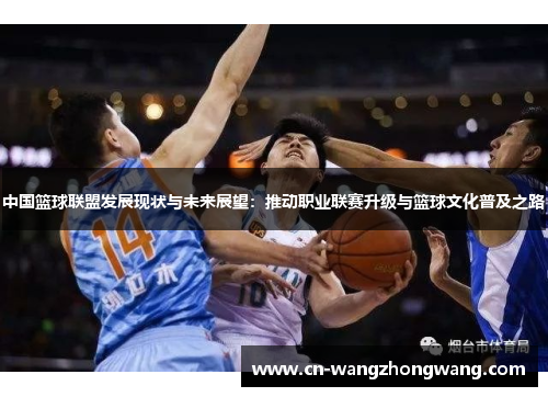 中国篮球联盟发展现状与未来展望：推动职业联赛升级与篮球文化普及之路
