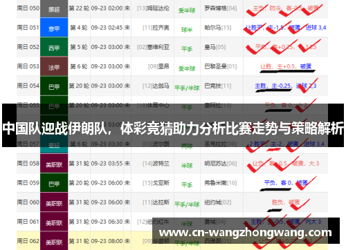 中国队迎战伊朗队，体彩竞猜助力分析比赛走势与策略解析