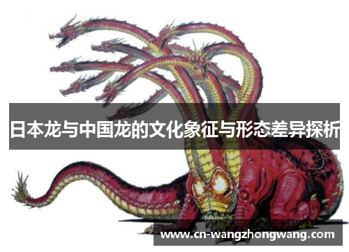 日本龙与中国龙的文化象征与形态差异探析