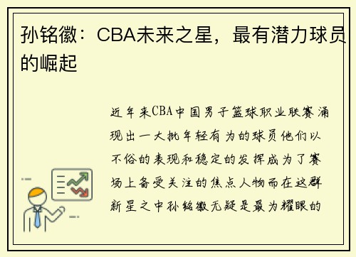 孙铭徽：CBA未来之星，最有潜力球员的崛起